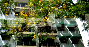 Apartamento com 3 Quartos em Jardim Ampliação/SP