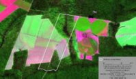 Fazenda Primavera VII - Área Rural em Nova Maringá - MT