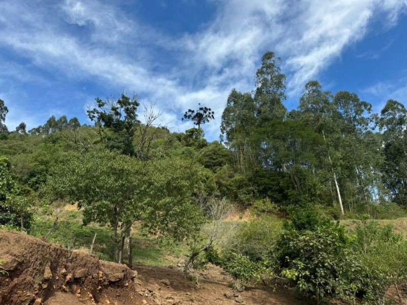 Lote Rural em Itapuca/RS com 58.200 m²