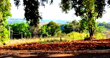 Terreno em Vista Alegre/RS com 592,48m²