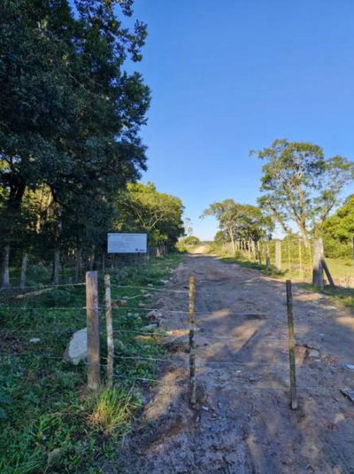 Terreno rural 67.905m² em São Francisco do Sul/SC - Oportunidade única