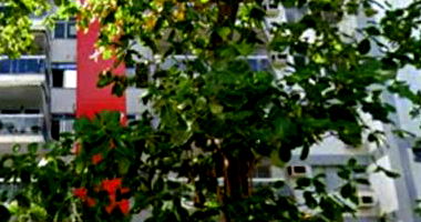 Apartamento com 3 quartos e varanda no Recreio dos Bandeirantes