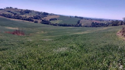Imóvel Rural com Área de 72.600 m²
