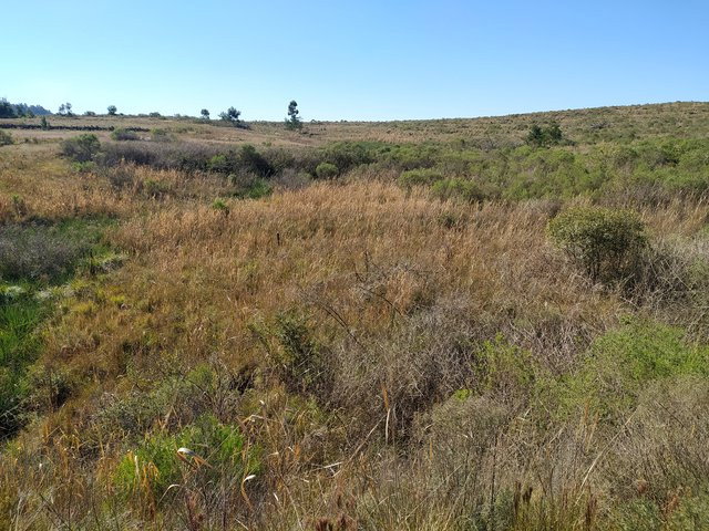 Terreno de 3.732,12m², ideal para investimento