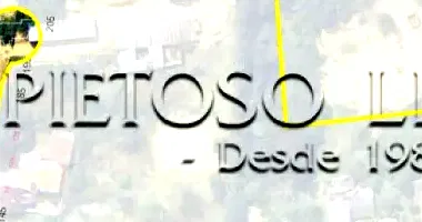 Terreno Irregular em Vila Nova, Porto Alegre - Ampla Área