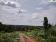 Chácara com 4,5 hectares, desocupada, ideal para investimento rural