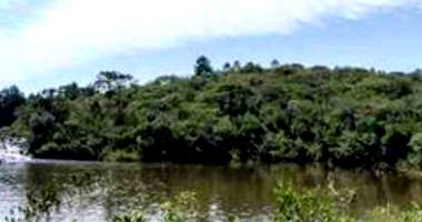 Terreno Rural com Benfeitorias em Cruz Machado/PR