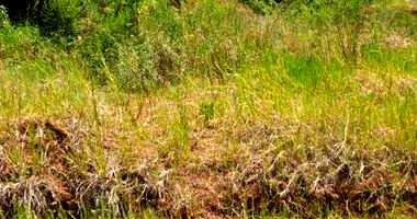 Lote Urbano com Área Total de 434,29m² em Seberi/RS