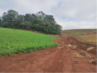 Terreno rural 5,33 ha com barracão 160m² em Frei Rogério/SC