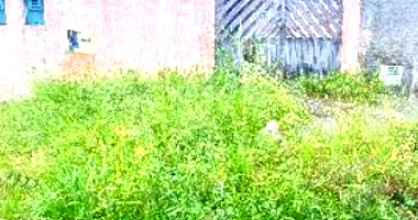 Casa em Itanhaém com 2 quartos e 1 banheiro