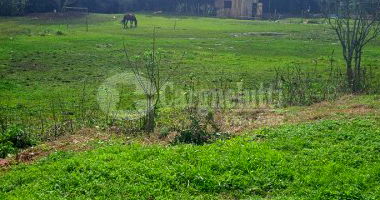 Terreno com 4.652m² em Cruz Alta/RS