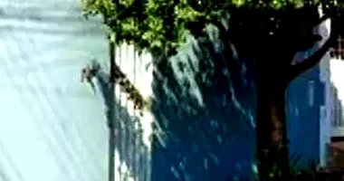 Casa em Leilão com 50,83m² de Área Construída