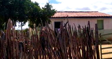 Sítio com 50 Hectares em Casa Nova/BA