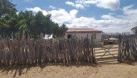 Sítio com 50 Hectares em Casa Nova/BA
