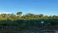 Terreno em Chapadinha-MA - Parque Moisés Amorim