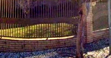 Casa Residencial com Terreno no Centro