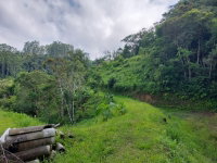 Sítio Bela Vista com 44.585,58m², rancho e lagoas artificiais