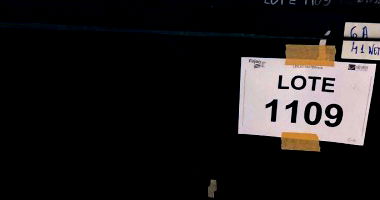 Sucata de Equipamentos Eletrônicos - Oportunidade Única!