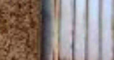 Casa com 56,46m² em Luziânia/GO