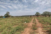 Fração Ideal de 3 Hectares em Iguatemi/MS - Lote 1