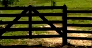Área Rural com 37,51ha ocupada e benfeitorias