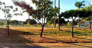 Terreno Comercial com Estrutura para Concessionária em Pereira Barreto
