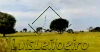 Área de Terras com 2.262,25m² em Contagem/MG