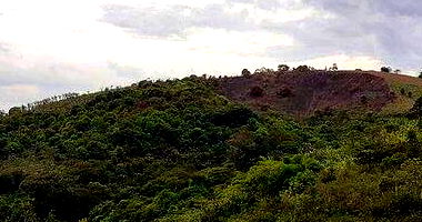 Parte Ideal de 51ha em Maraial/PE com Lance Inicial de R$ 30.300,00