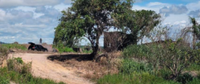 Área de Terra 2ha com Vegetação Rural às Margens da BR-101