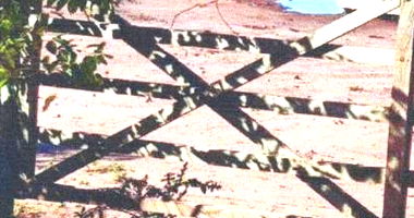 Imóveis Rurais em Pérola/PR com 3 Matrículas Conjuntas