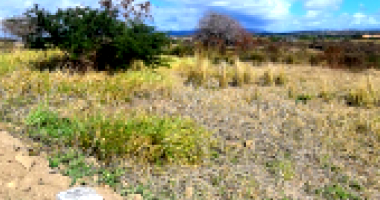 Lote de Terreno com 995m² em Gravatá/PE