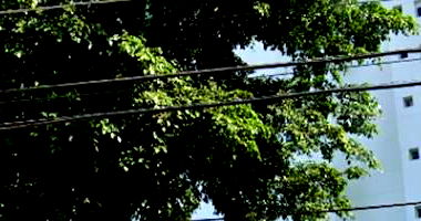 Apartamento com 2 vagas, 80,90m² - Ocupado