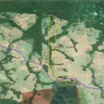 Imóvel Rural em Cotriguaçu/MT com 114 Hectares