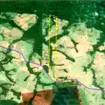 Imóvel Rural em Cotriguaçu/MT com 114 Hectares