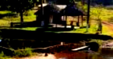 Fazenda Padrão em Nova Colinas com 431,75ha