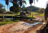 Fazenda Padrão em Nova Colinas com 431,75ha