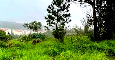 Terreno rural irregular com 112.209 m², 16 vagas, sem quartos e banheiros