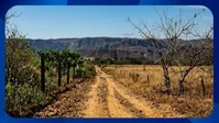 Fazenda com 244 hectares em Montes Claros/MG - Ótimo Investimento Rural
