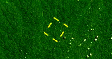 Fazenda de Mata com 2.916ha em Itapiranga, AM