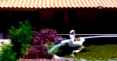 Casa em Terras de Itaici com 445m² de Área Construída