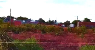 Terreno com 250m² em Extrema, Grajaú/MA