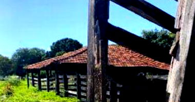 Fazenda Rancharia com 773,43 hectares em Alvorada do Norte/GO