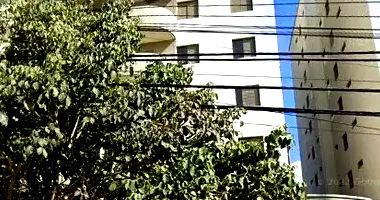 Apartamento 3 quartos, 1 vaga, 81,95m² útil, ocupado