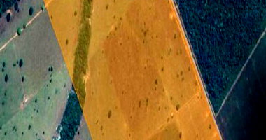 Fazenda Ouro Verde - 91,99 ha - Rural - Brasnorte/MT