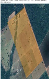 Fazenda Ouro Verde - 91,99 ha - Rural - Brasnorte/MT
