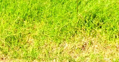 Terreno de 252m² no Residencial Piacenza, Arapongas, vago