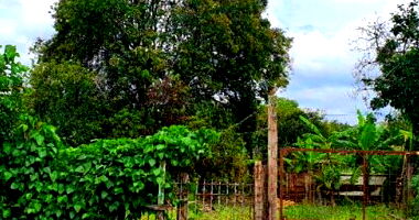 Lote de Terreno Urbano em Poços de Caldas - Jardim Kennedy