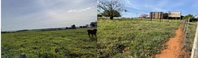 Imóvel Rural com 16.940 Hectares em Zacarias-SP