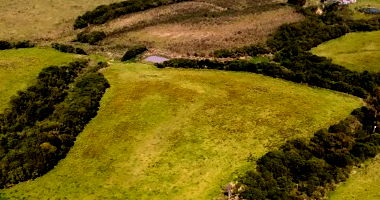 13 Hectares em Hulha Negra