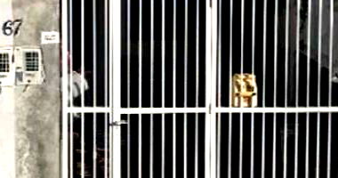 Casa com 83m² em Videira/SC - Cidade Alta